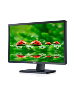 DELL P2412H