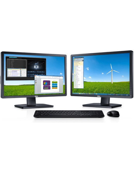 DELL P2412H